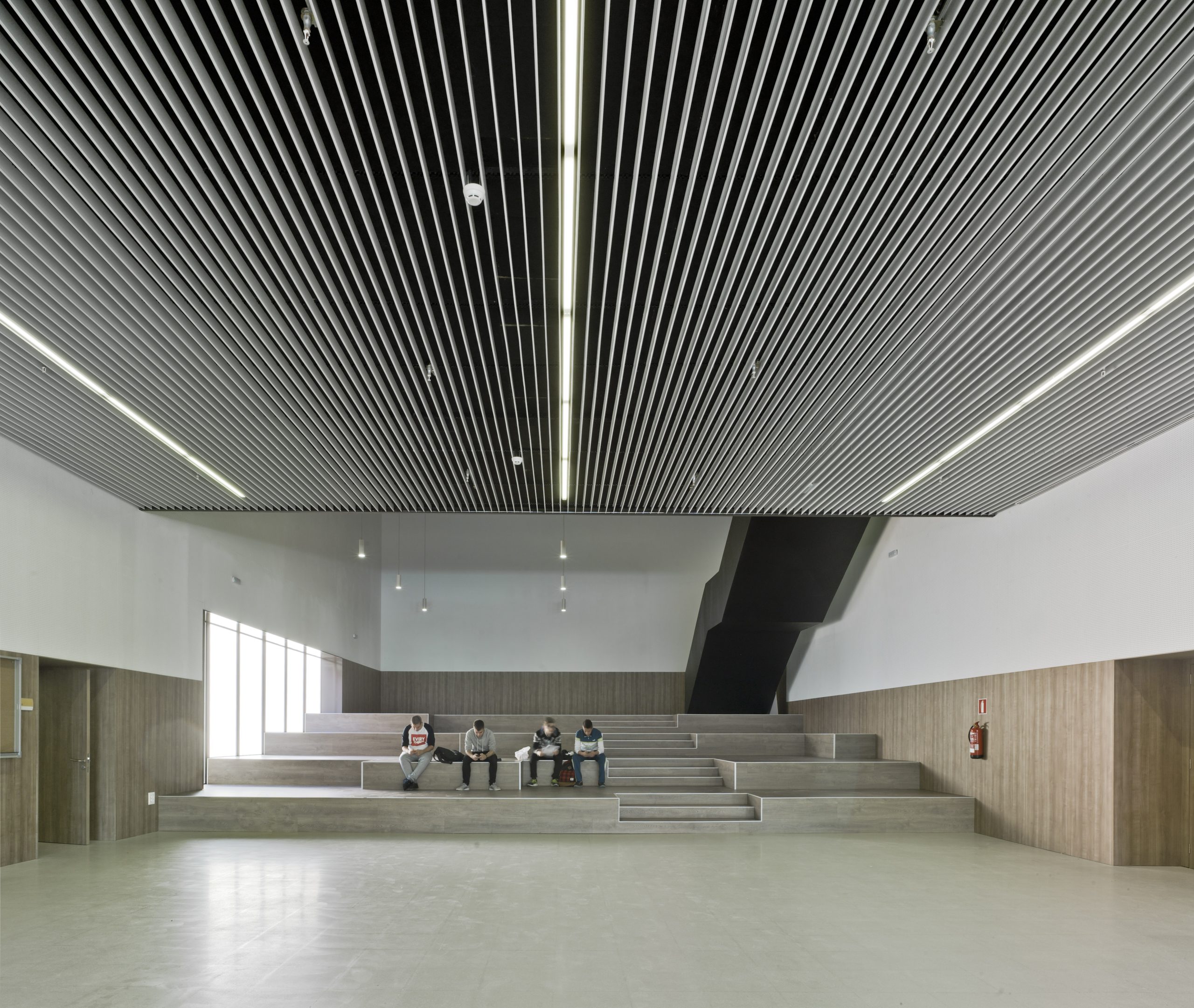 Lame Verona – Image 6